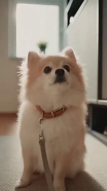 Утро 12 января