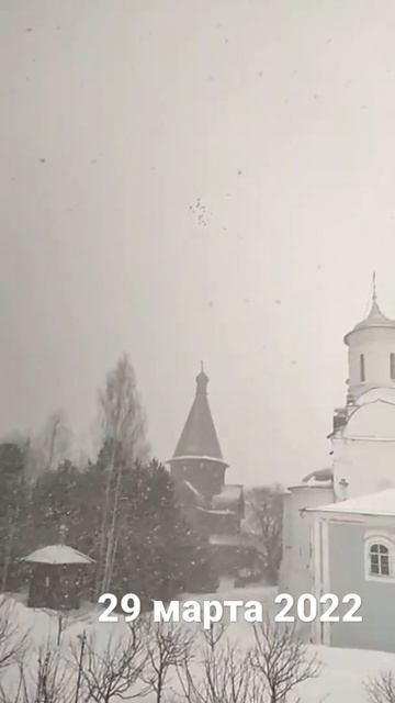 Снег кружится, летает! Такого снегопада...