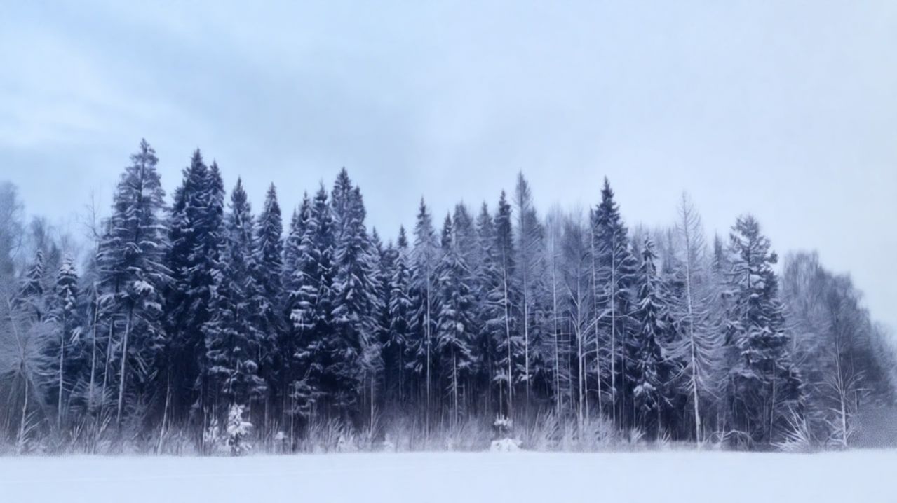 Live🔴: Russian Rock. Atmospheric Black Metal.