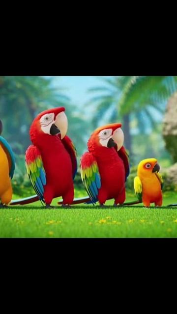 #попугай #птички #попугаиразговорчики #попугайчики
