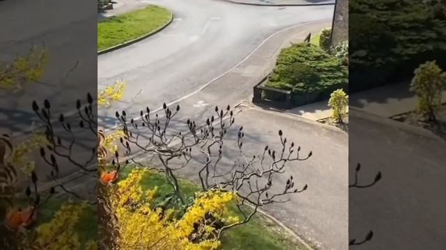 Не нарушайте карантин Half-Life 2