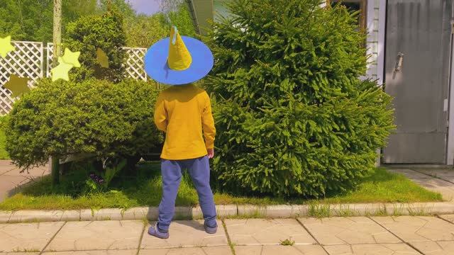 Незнайка и его друзья. Детский мюзикл.