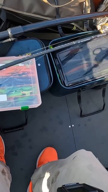 Щука на придонную проводку. Поймал щуку на Вуоксе. #fishing #рыбалка #вуокса #щука