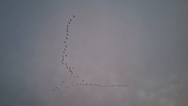 Море Азовское....