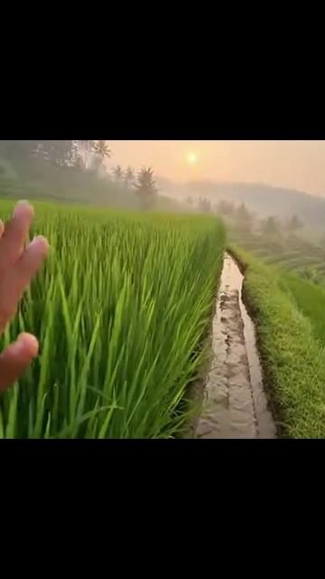 06affbf5f89b58719c89784238686d1b