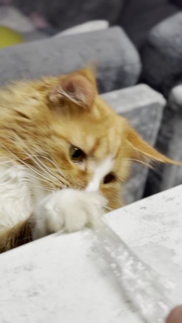 video-output-836D4914-1845-4DCB-AD9C-C67CBA2E23B1-1