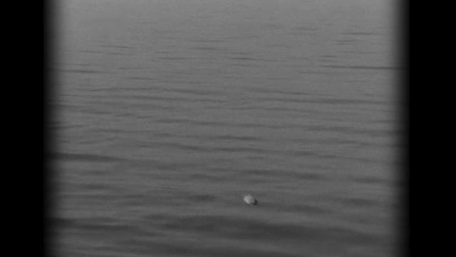 ДЕТСТВО ГОГОЛЯ