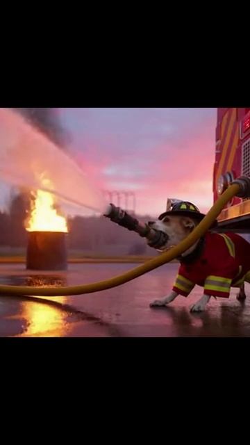 #животныевместолюдей #животные #жизньсживотными #чудесныеживотные #приключения #природа