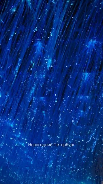 Новогодний Санкт-Петербург🎄🎉✨