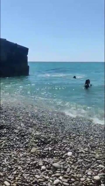 43f49d43177640ec10e309d4424acffd