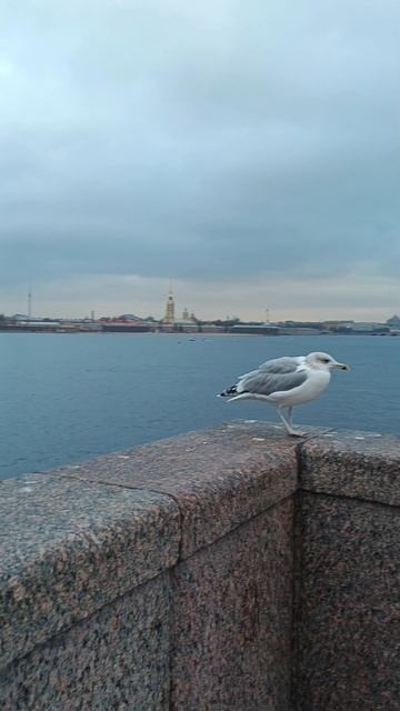 Дворцовый мост