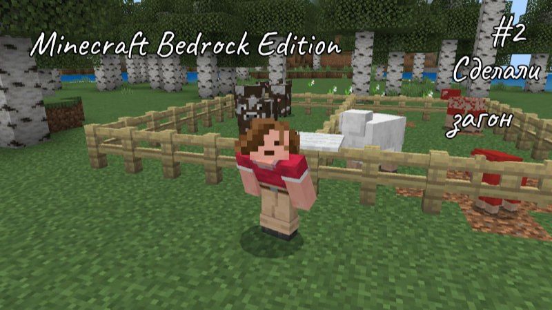Bedroc K Minecraft #2 Сделали загончик