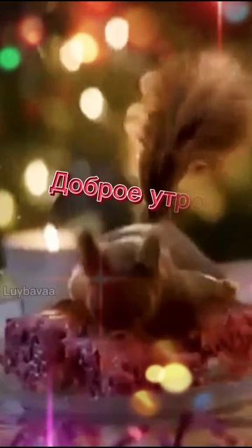 Video_2026-01-14_09-15-12