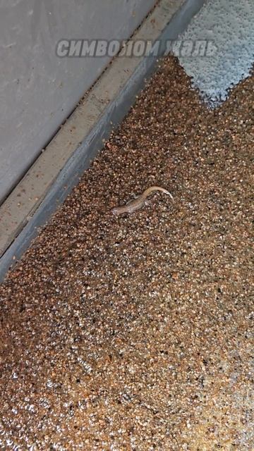 Венесуэла , нюансы работ с полимерами