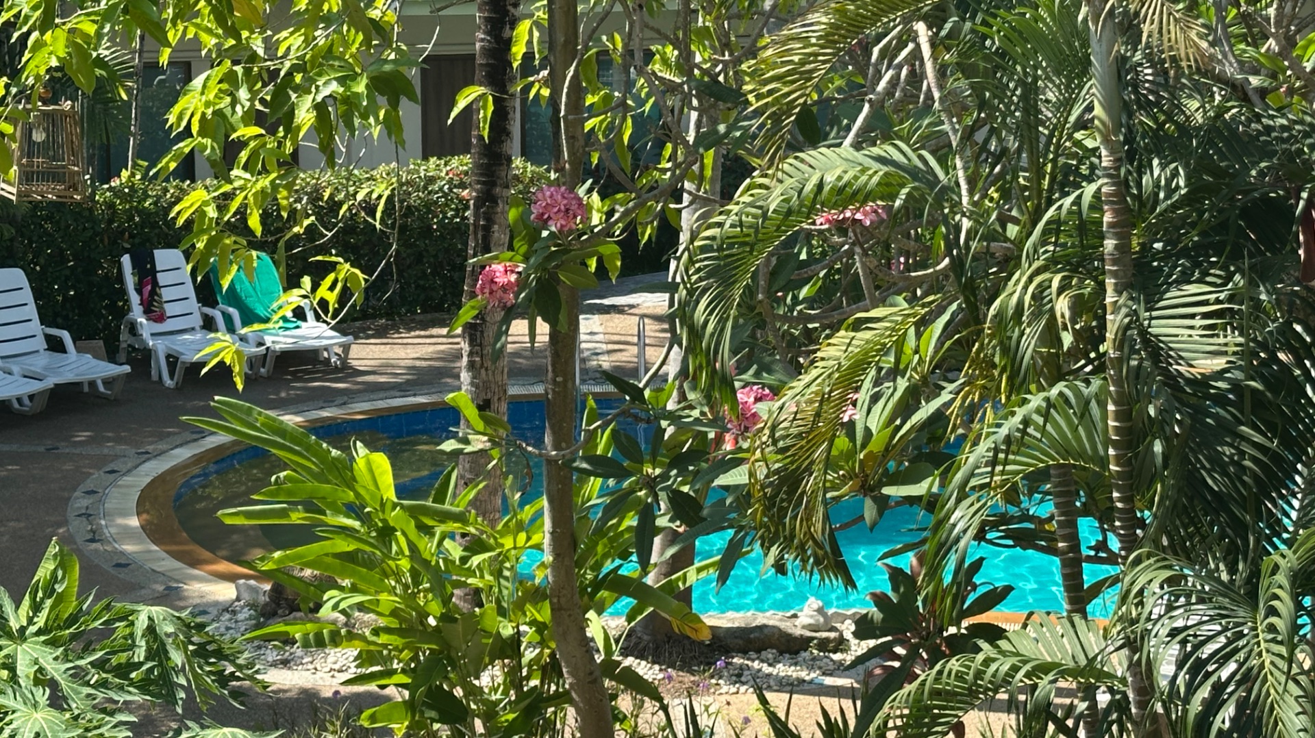 ООБЗОР НОМЕРА В ОТЕЛЕ VIRIDIAN RESORT В ТАИЛАНДЕ/ ПХУКЕТ 2026