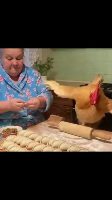 Пельмени лепят все  #Готовка #Кулинария #Рецепты #Домашняя Кухня #Пельмени #Уютная Кухня