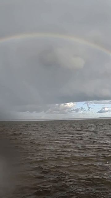 Радуга на рыбалке. Рыбалка в дождь. #fishing #рыбалка #радуга