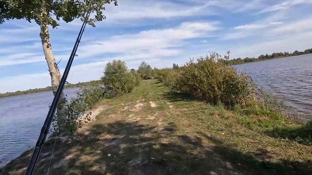 Окунь на микроджиг. Кубок Ленинградской области по ловле спиннингом с берега.