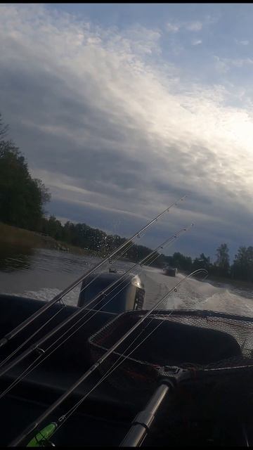 Триера 420 мчит как ракета. Быстрая доставка до точки. Рыбалка с Триера.#fishing #триера #рыбалка