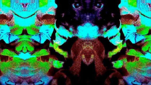 Разбуянился Чего-то В Эти Годы Табор Клеток В Улье Головы Моей {Ансамбль МИДИй И Бляски}