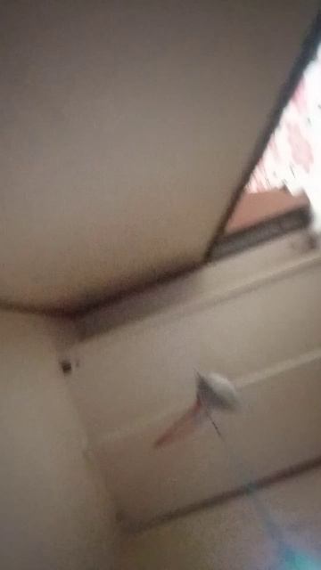 B0ab73af6f6f80505fcaeb704a3800e1