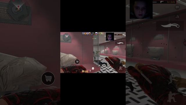 обзор на приватку стендофф 2