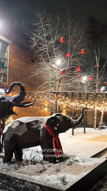 Брусницын, культурный квартал ⛸⛄️