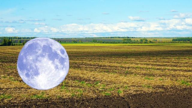 это попросила настя 1 заказ готов и еще 1 остался