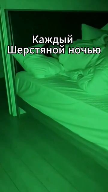 Каждый шерстяной ночью. Знакомо?