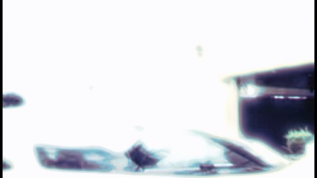 Lamborghini и Porsche