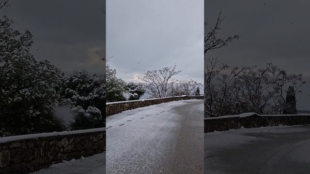 День снежно-коньячного настроения☃️