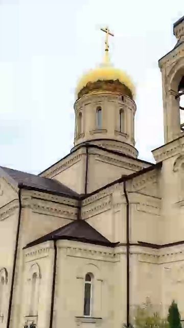 🙄🙌....  видео не брать ❤...