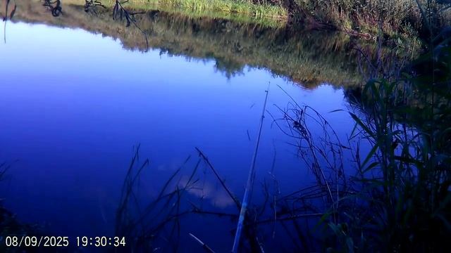 НА РЫБАЛКУ ПО НОВЫМ МЕСТАМ. Р. ПЫШМА