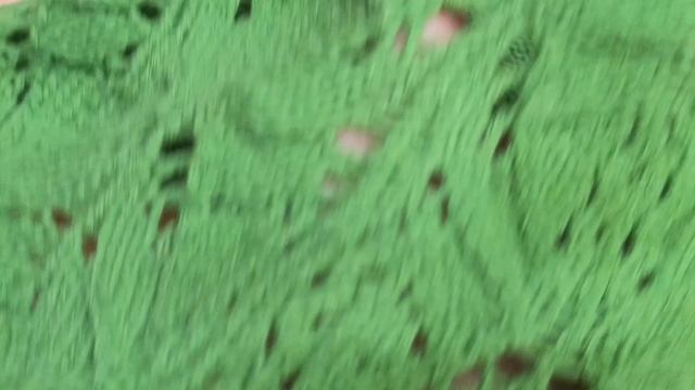 Ёлка распустилась!