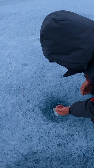 КАК ПРИМАНИТЬ ЛЕЩА