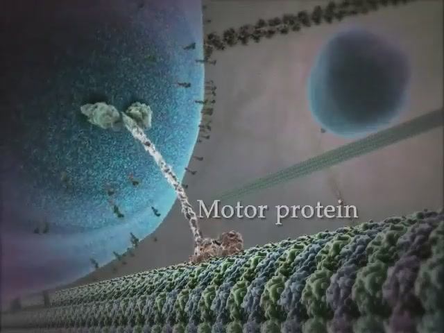 31a405c3096a5bae8e761232c9ca0163