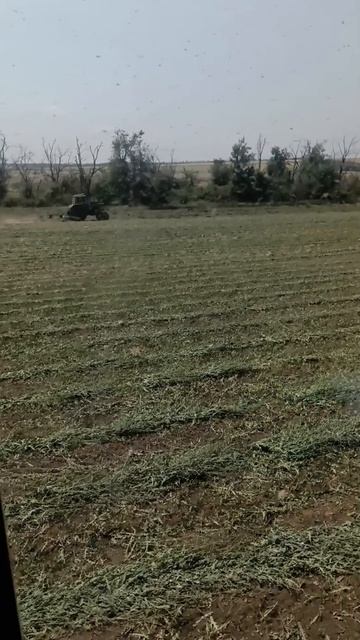 С утра другом был...
