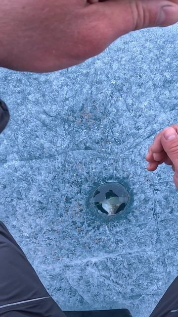 ПОБЫВАЛ В СЕТЯХ