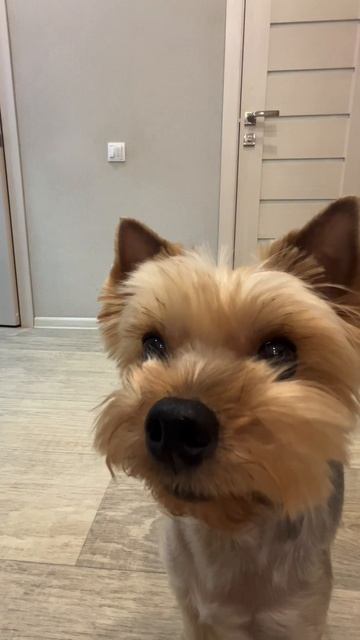 Распаковка