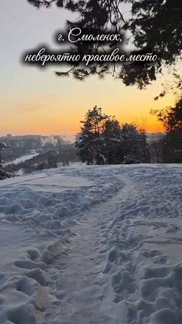 Video_2026-01-18_20-41-30