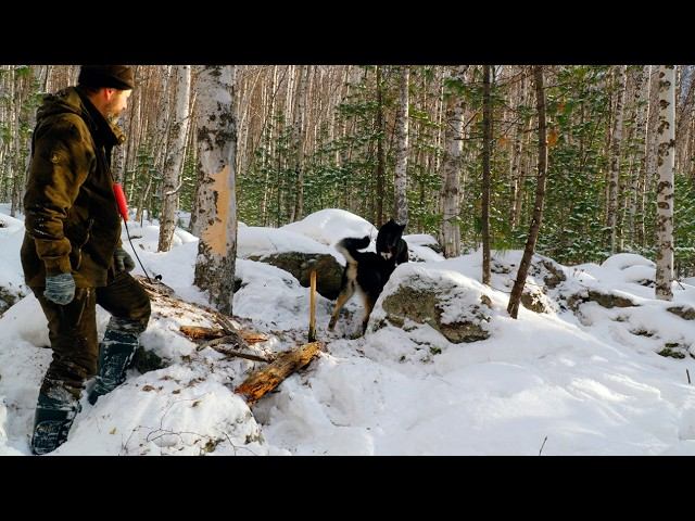 3ebeabe60889e69dca7bb78dcc7e0f26