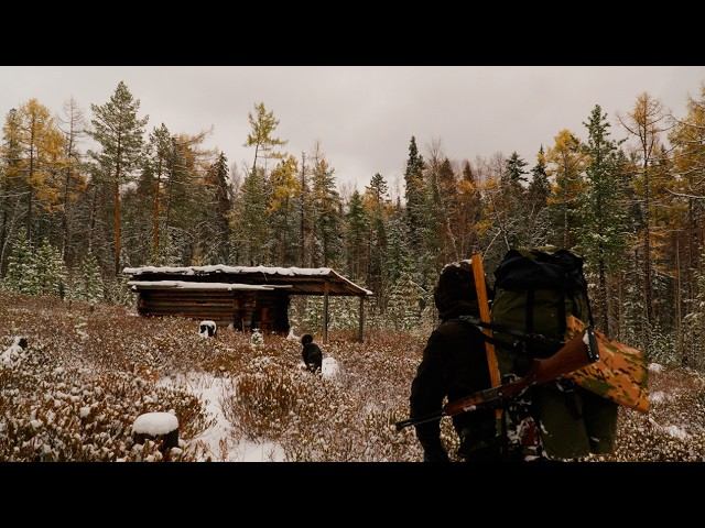 3c1c2917c4cc5f5c72d481fb12d1632e