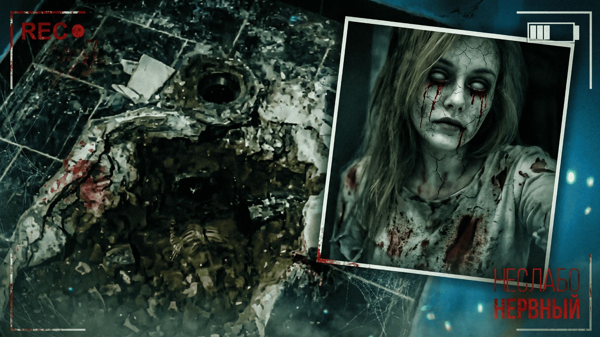 6995d27e46bf84b03b18341213505cae