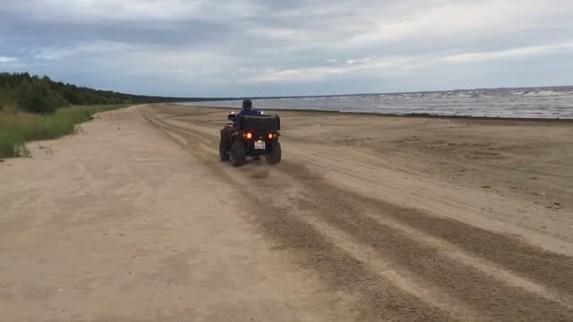 Кургальский 2018