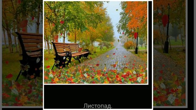 Ди Джей Алекс