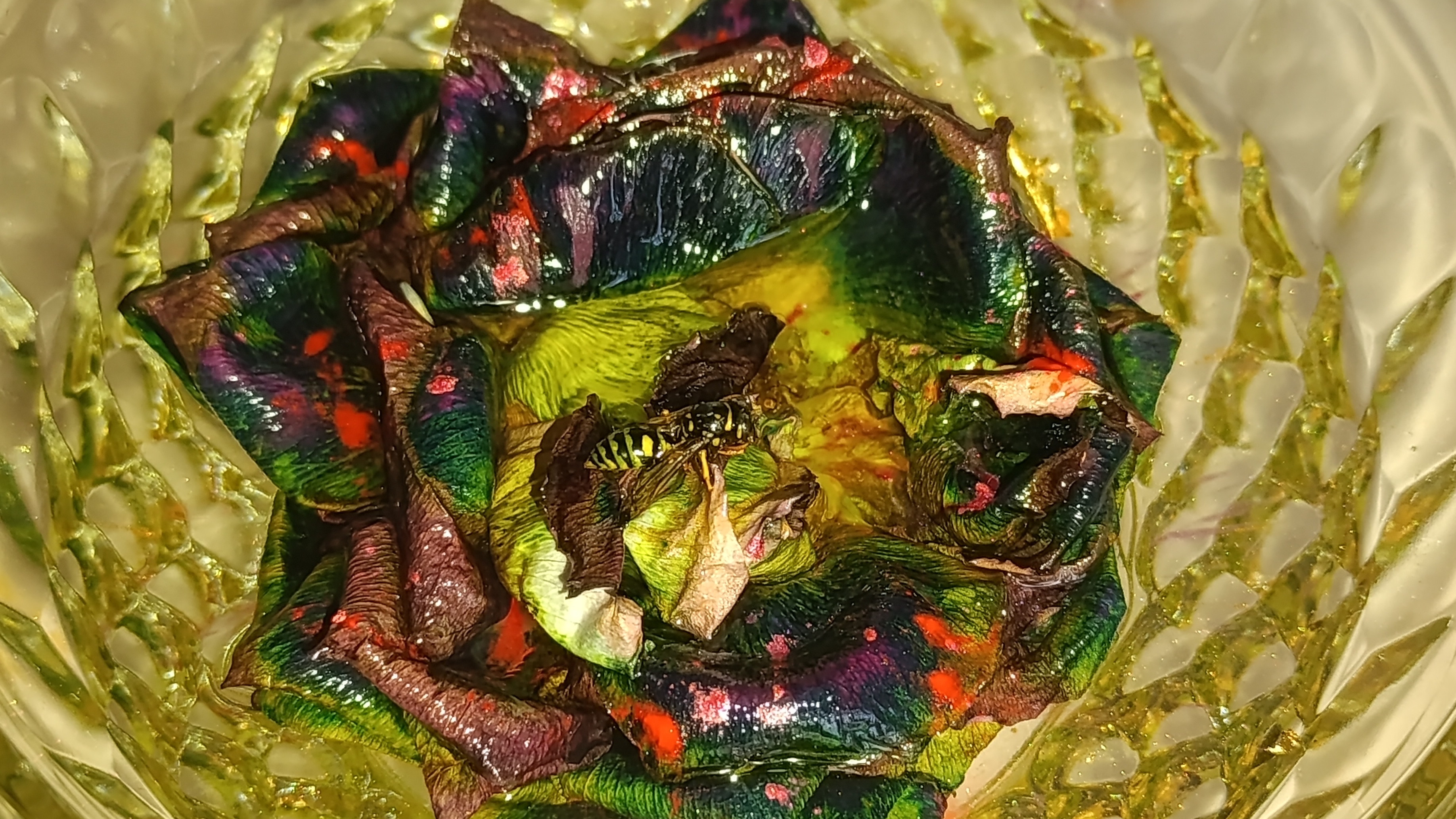 Неудачная попытка! И что же всё-таки получилось. Готовлю пельмени. На улице зима.