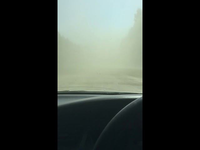 4 августа 2018 г.