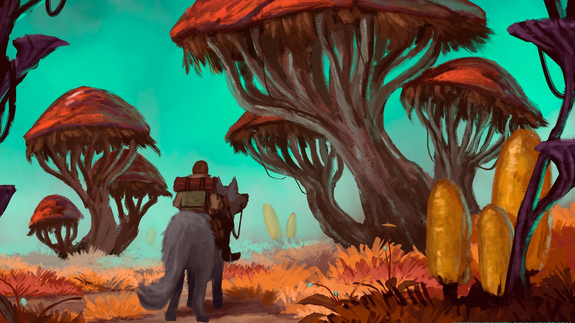 Дорога с грибами