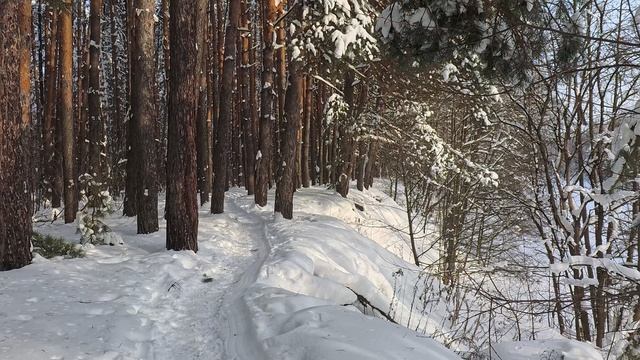 Линда 2026.01.17