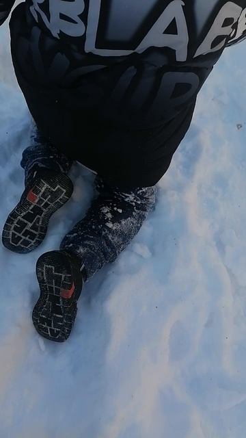 факты о зимних грибажхуях